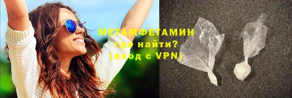прущие грибы Дмитровск