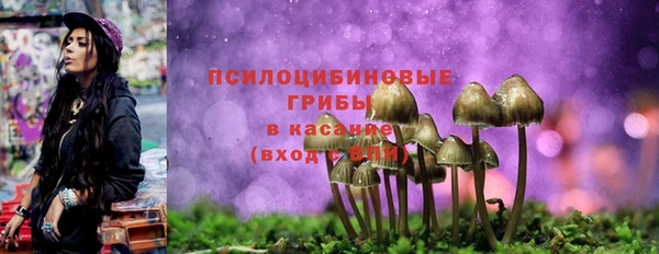 дживик Киренск