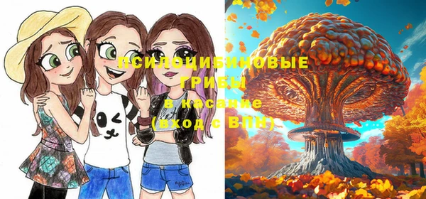 круглые Аркадак