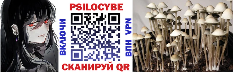 купить наркотики сайты omg как зайти Псилоцибиновые грибы Psilocybine cubensis Нижний Новгород