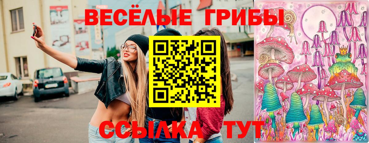 Галлюциногенные грибы прущие грибы Нижний Новгород