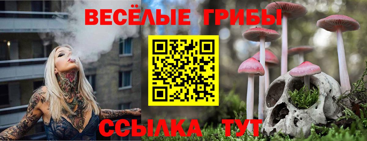 Галлюциногенные грибы прущие грибы  Вход с VPN  Нижний Новгород 